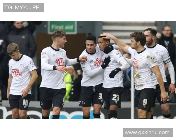 德比郡与加的夫比赛延迟原因分析及后续影响探讨